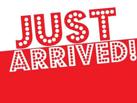 VOLKSWAGEN ATLAS 4MOTION 2025 1V2BR2CA0SC503929 image